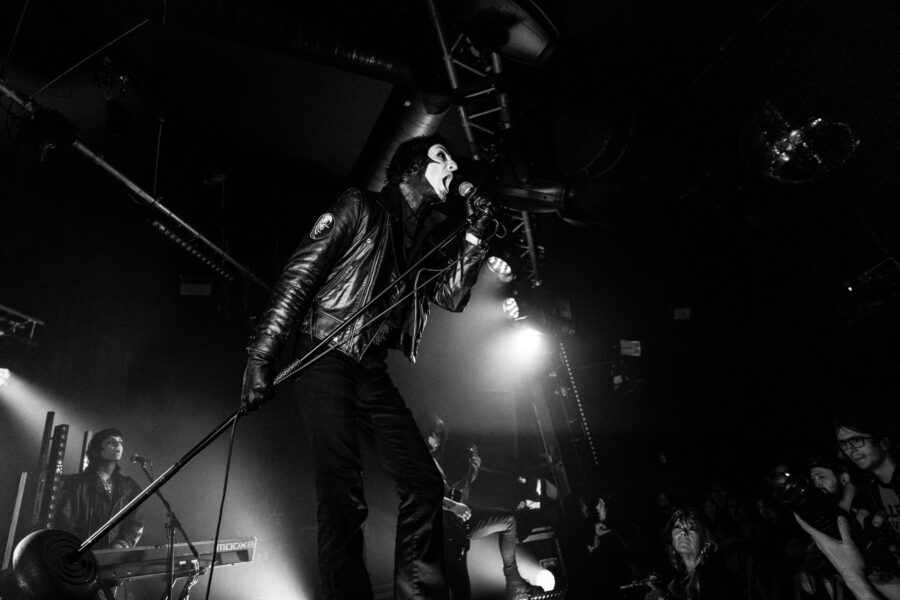Creeper at Chalk, Brighton