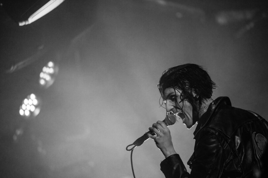 Creeper at Chalk, Brighton