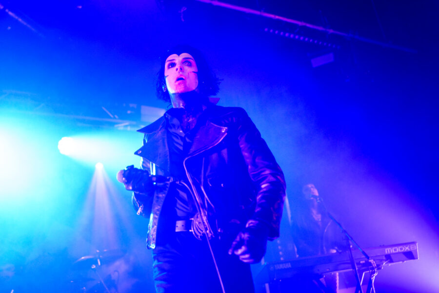 Creeper at Chalk, Brighton